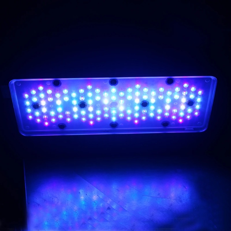 Sterowanie aplikacją Full Spec – Reef Lighting recenzja i cena