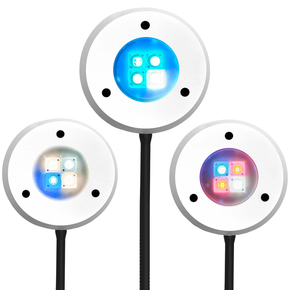 Lampa LED do akwarium Spectra  – Reef Lighting recenzja i cena