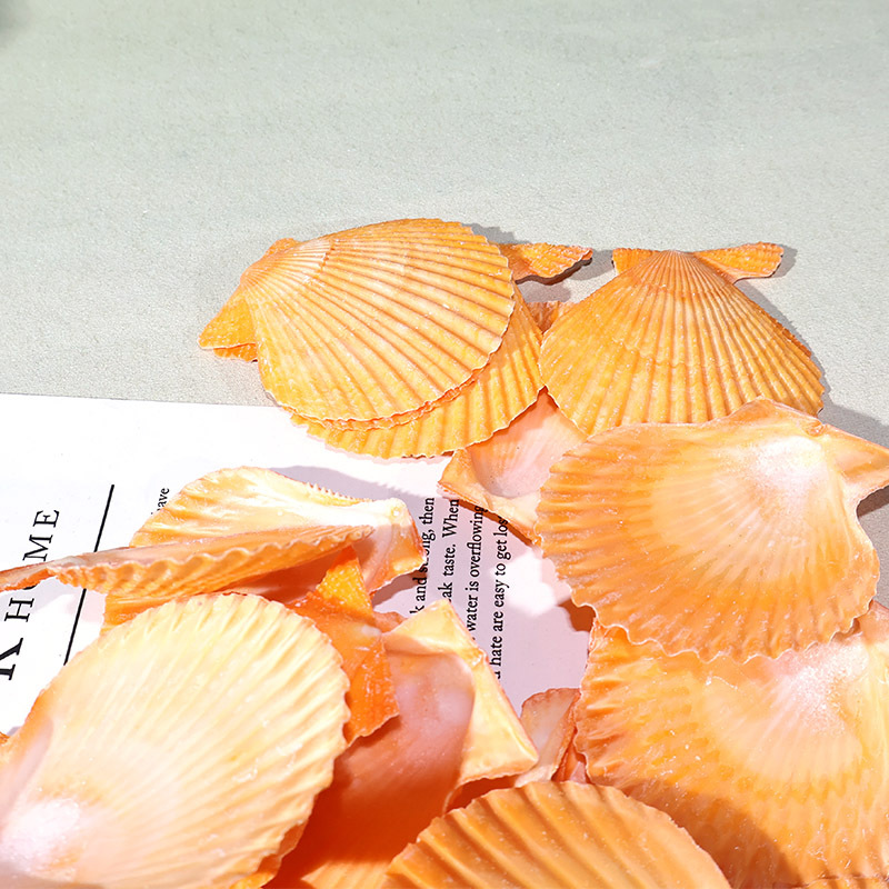 Najlepsza żółta muszla muszelk – Marine Fish Tank recenzja i cena