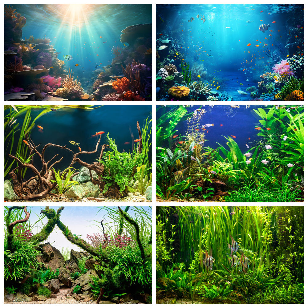 Pod morzem dno morskie świat f – Aquarium Marine World recenzja i cena